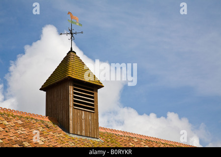 Weather vane on barn roof at Easton Farm Park, Suffolk, England Stock Photo