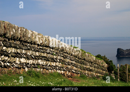 Boscastle to Tintagel coastal path, Cornwall; dry stone hedging Stock Photo