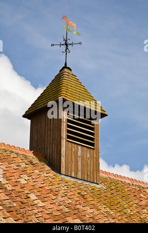 Weather vane on barn roof at Easton Farm Park, Suffolk, England Stock Photo