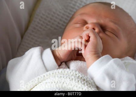 Hands and Face of Sleeping Newborn Baby Boy Joshua Kailas Hudson Aged 20 days in White Blanket Stock Photo
