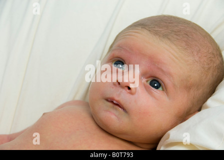 Close up on Face of Newborn Baby Boy Joshua Kailas Hudson Aged 20 days Lying in Beanbag Stock Photo