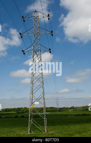 High Voltage electricity pylon in field Cumbria Stock Photo