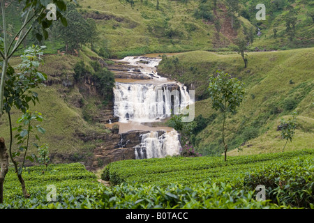 St Clair waterfall and tea estate near Talawakele viewed from the road to Nuwara Eliya, Sri Lanka Stock Photo