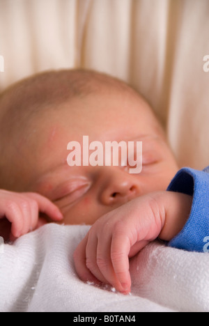 Close Up on Hands and Face of Sleeping Newborn Baby Boy Joshua Kailas Hudson Aged 20 days Stock Photo