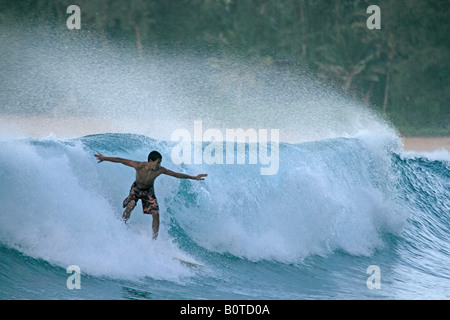 Surfer at Ha'ena Beach, Kauai, Hawaii Stock Photo