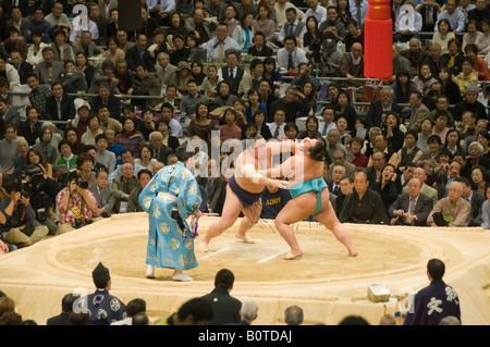 Spring Grand Sumo Tournament at Osaka Japan 2008 Stock Photo