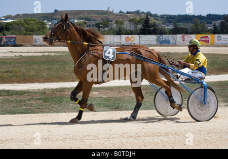 Horse Racing Track Marsa Valletta Malta Stock Photo