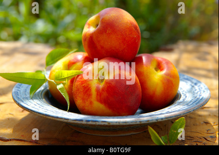 whole fresh  picked organic nectarines outside on a wood table Stock Photo