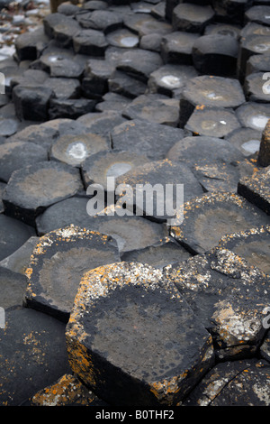 red basalt hexagonal rock formations at the giants causeway county antrim northern ireland uk Stock Photo