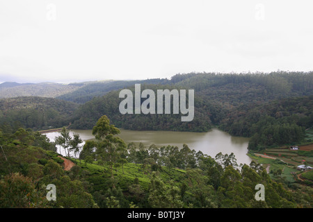 Spectacular view of a tea plantation in near Nuwara Eliya, Sri Lanka with a lake and misty mountain backdrop. Stock Photo