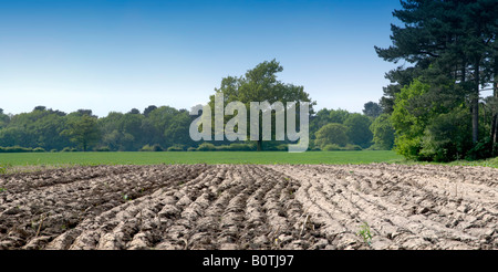 A ploughed field in the english countryside Stock Photo