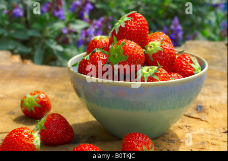 Summer fruits - bowl of fresh picked organic strawberries in a bowl on a wooden garden table in a garden Stock Photo