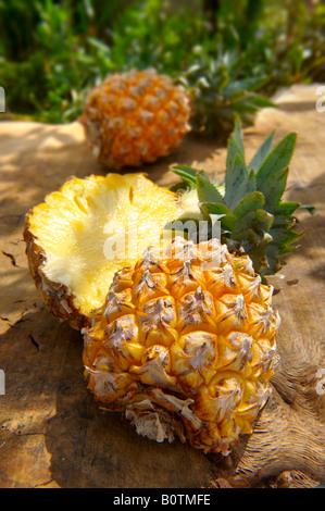 Fresh Victoria Pineapple cut in half  on a wooden garden table in the sun Stock Photo