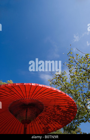 Red Parasol at Shinsenen Temple, Kyoto, Japan Stock Photo