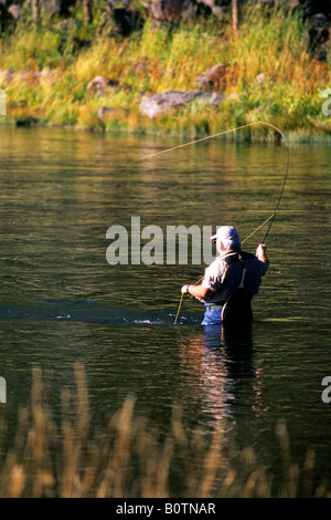 Fly fisherman on the Madison River near West Yellowstone Yellowstone National Park Wyoming Stock Photo