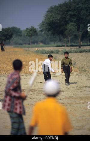 Rural cricket in a village in Bangladesh Stock Photo