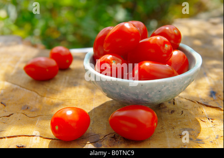 Fresh picked Pomodorino plum tomato in a bowl on a wooden garden table in the sun Stock Photo