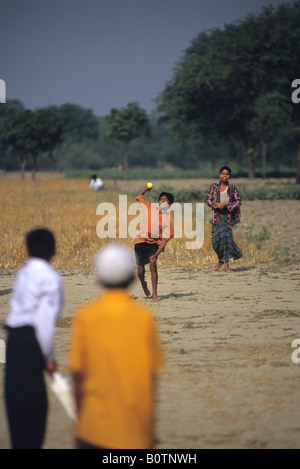 Rural cricket in a village in Bangladesh Stock Photo