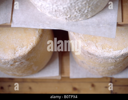 large chuckles of cheese maturing on the shelf Stock Photo