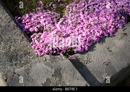 New England graveyard during the spring months Stock Photo