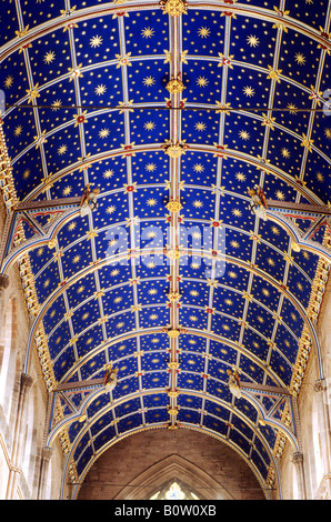 Carlisle Cathedral Choir ceiling 14th century blue gold painted Medieval stars bosses barrel vault vaulting Cumbria England UK Stock Photo
