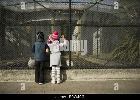 Brother and sister watch the birds at the aviary in a park Victoria Esplanade Palmerston North New Zealand Stock Photo