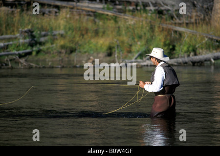 Fly fisherman on the Madison River near West Yellowstone Yellowstone National Park MONTANA Stock Photo