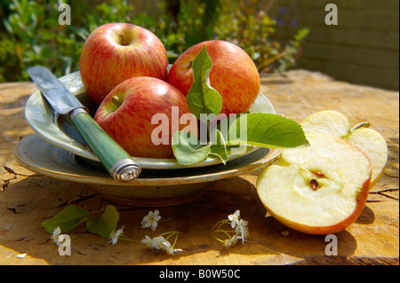 Braeburn apples on a plate on a garden table in the sun Stock Photo