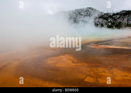 Yellowstone Spring Steam Water vapor over Midway Geyser Basin, Yellowstone National Park ...