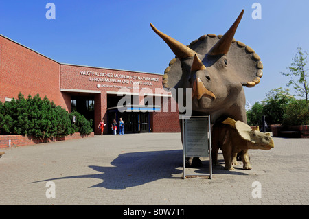 Triceratops dinosaur sculptures in front of the Natural History Museum in Muenster, North Rhine-Westphalia, Germany, Europe Stock Photo