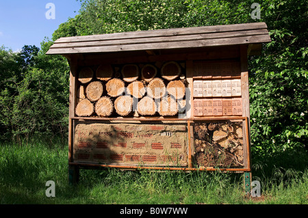 Nesting stand to create nesting possibilities for wild bees and other insects, North Rhine-Westphalia, Germany, Europe Stock Photo