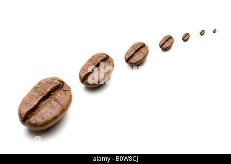 Coffee beans Stock Photo