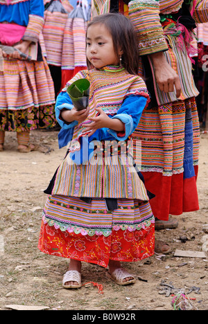 Flower Hmong girl, Bac Ha market, Ha Giang Province, North Vietnam, Southeast Asia Stock Photo