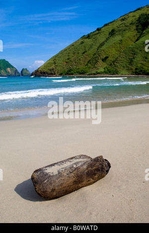 Driftwood, tree trunk washed ashore on deserted beach near Kuta, Lombok Island, Lesser Sunda Islands, Indonesia Stock Photo