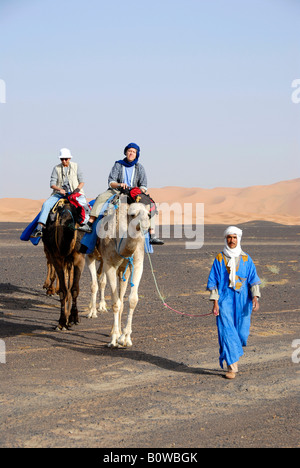 Local Tuareg leading tourists riding camels over a flat stone desert, Reg Serir Desert, Erg Chebbi dunes at back, Merzouga, Mor Stock Photo