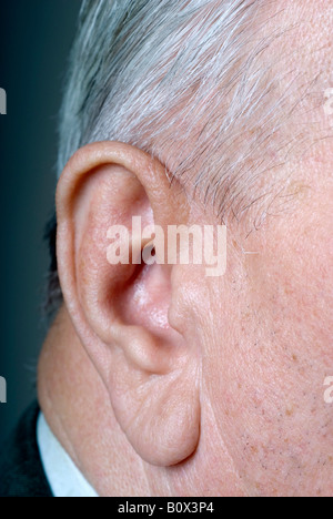Portrait of a Senior Adult Man’s Ear, Detail, Close Up Stock Photo
