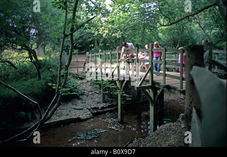 Pooh Sticks Bridge Ashdown Forest Stock Photo