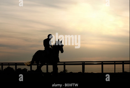 A horse silhouetted at Towcester Racecourse Stock Photo