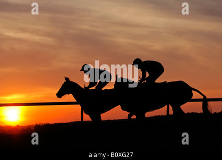 Horses silhouetted against the setting sun at an evening race meeting at Towcester Racecourse Stock Photo