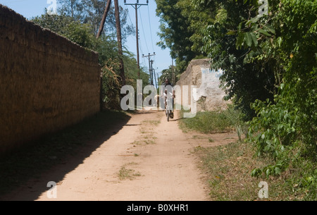 A man with a child on a bicycle riding down a track with a cow herder in the background. Stock Photo