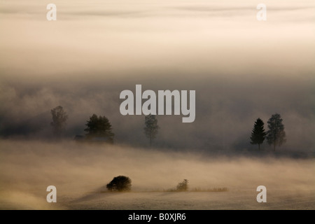 Germany, Bavaria, Murnau, Misty landscape Stock Photo