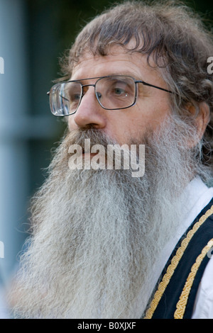 Morris dancer with long grey beard and glasses Stock Photo