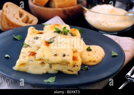 Cheese Cannelloni Pasta Served On A Plate With Alfredo Sauce Stock 