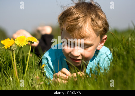young blond boy lying in summer meadow Stock Photo