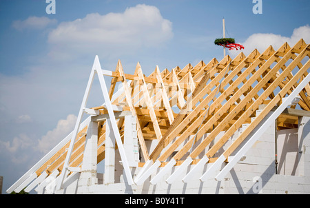 Germany, 'Richtbaum' above house to celebrate construction of frame Stock Photo