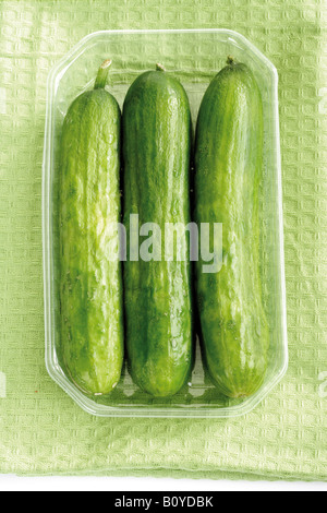 Baby-sized cucumbers,close up Stock Photo