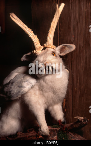 Wolpertinger, mythical figure, mythical creature, in Bavarian Stock ...