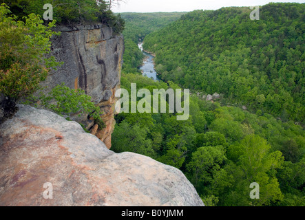 Big South Fork Cumberland River from Angel Falls Overlook, Big South Fork National River and Recreation Area, Tennessee Stock Photo