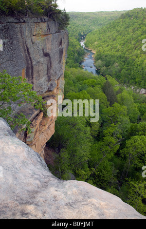 Big South Fork Cumberland River from Angel Falls Overlook, Big South Fork National River and Recreation Area, Tennessee Stock Photo