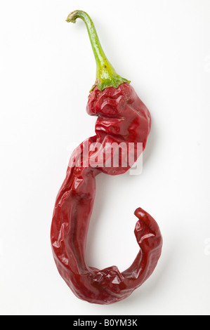 Red cayenne chili pepper Stock Photo